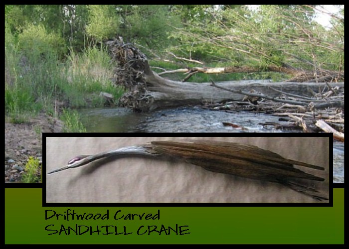 Wildlife Intentions: Sandhill crane